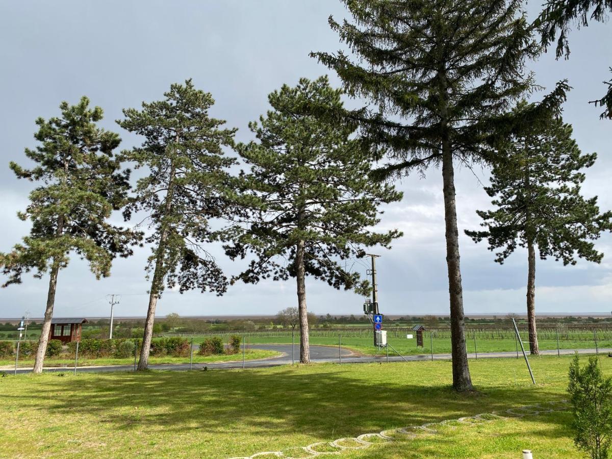 Harol Home & Bike Fertőrákos Bagian luar foto