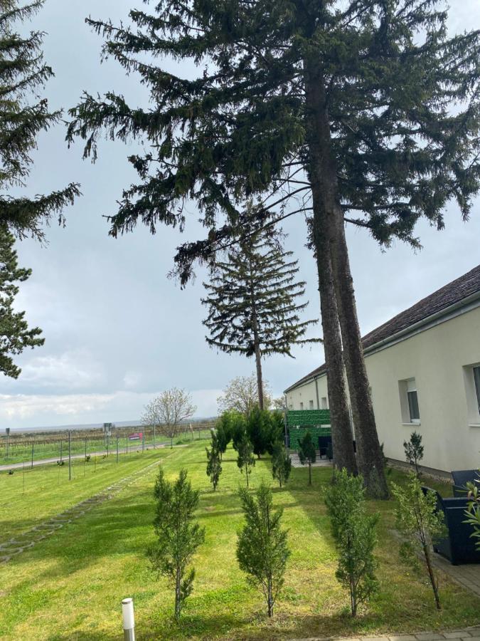 Harol Home & Bike Fertőrákos Bagian luar foto